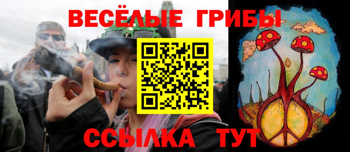 Галлюциногенные грибы Magic Shrooms  Вход с VPN  Дивногорск 